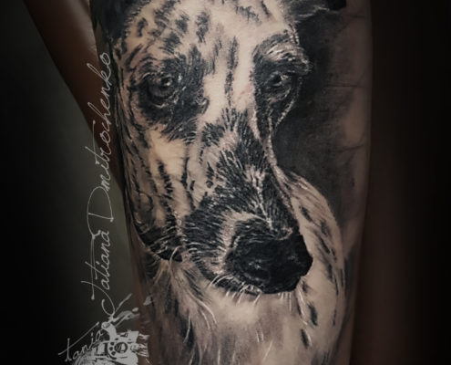 tatuajes retratos de perros mascotas realista