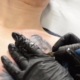 Tatuajes Realistas Estudio Tania Tattoo Valencia