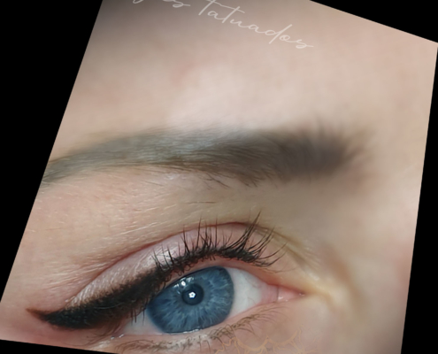 micropigmentacion de ojos eyeliner con difuminado marron oscuro en valencia elena 27