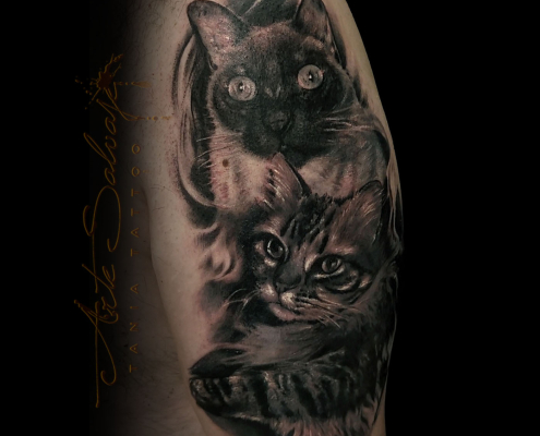 tattoo tatuaje retrato de gato mascotas realista en valencia tattoo tatuaje retrato de gato mascotas realista en valencia