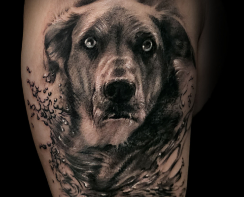 tattoo tatuaje de mascotas retrato de perros realista en valencia tattoo tatuaje de mascotas retrato de perros realista en valencia