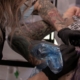 Estudio de tatuajes en Valencia